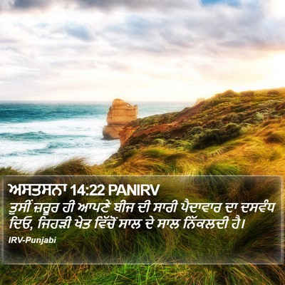 ਅਸਤਸਨਾ 14:22 PANIRV Bible Verse Image