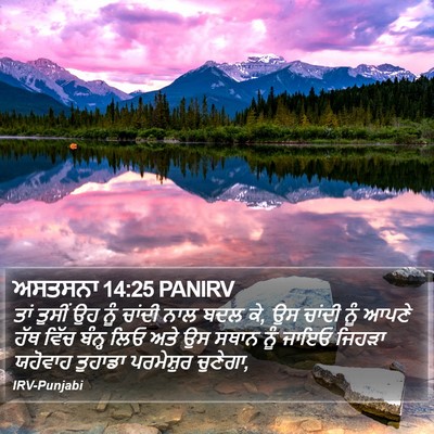 ਅਸਤਸਨਾ 14:25 PANIRV Bible Verse Image