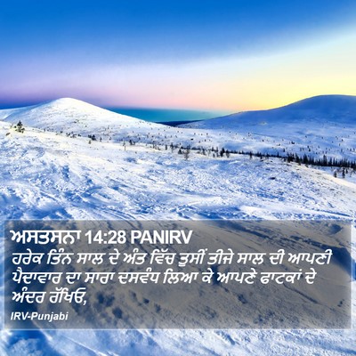 ਅਸਤਸਨਾ 14:28 PANIRV Bible Verse Image