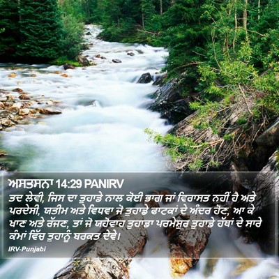 ਅਸਤਸਨਾ 14:29 PANIRV Bible Verse Image