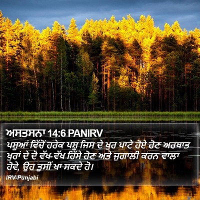 ਅਸਤਸਨਾ 14:6 PANIRV Bible Verse Image