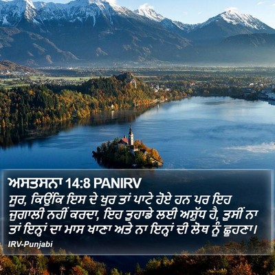 ਅਸਤਸਨਾ 14:8 PANIRV Bible Verse Image