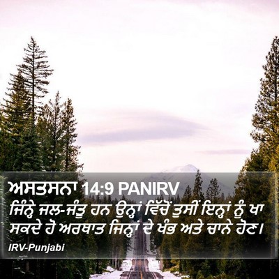 ਅਸਤਸਨਾ 14:9 PANIRV Bible Verse Image