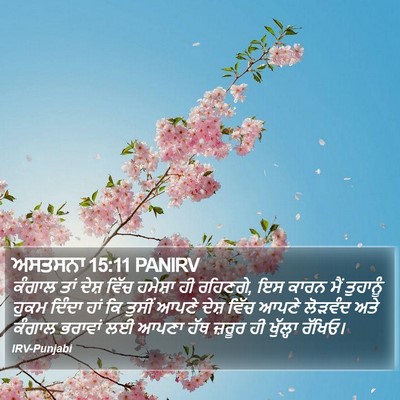 ਅਸਤਸਨਾ 15:11 PANIRV Bible Verse Image