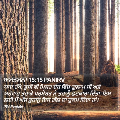 ਅਸਤਸਨਾ 15:15 PANIRV Bible Verse Image