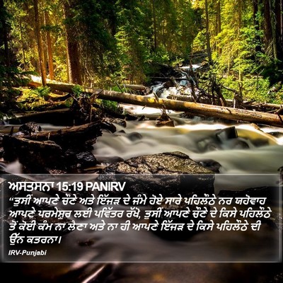 ਅਸਤਸਨਾ 15:19 PANIRV Bible Verse Image