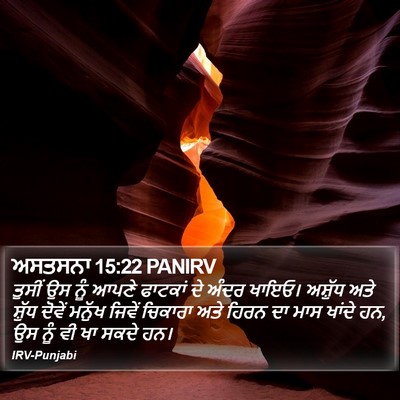 ਅਸਤਸਨਾ 15:22 PANIRV Bible Verse Image