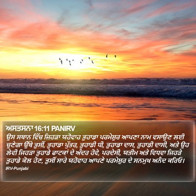 ਅਸਤਸਨਾ 16:11 PANIRV Bible Verse Image