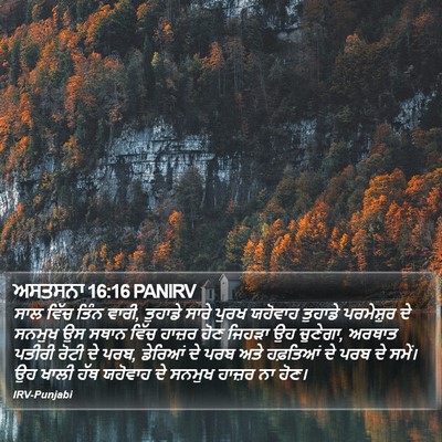 ਅਸਤਸਨਾ 16:16 PANIRV Bible Verse Image