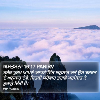 ਅਸਤਸਨਾ 16:17 PANIRV Bible Verse Image