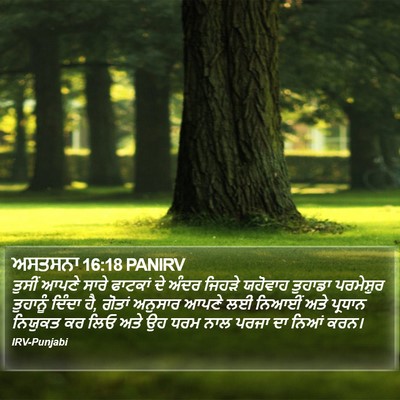 ਅਸਤਸਨਾ 16:18 PANIRV Bible Verse Image