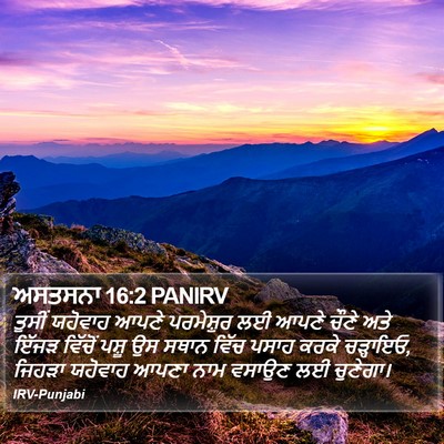 ਅਸਤਸਨਾ 16:2 PANIRV Bible Verse Image