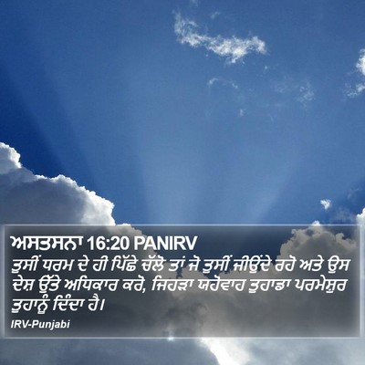ਅਸਤਸਨਾ 16:20 PANIRV Bible Verse Image