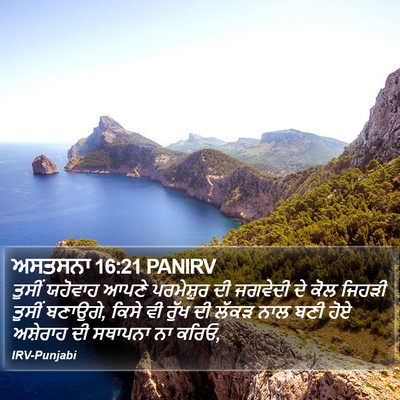 ਅਸਤਸਨਾ 16:21 PANIRV Bible Verse Image