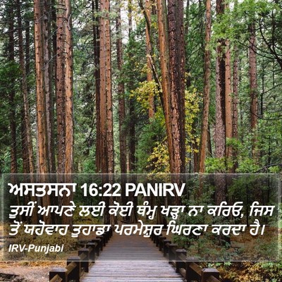 ਅਸਤਸਨਾ 16:22 PANIRV Bible Verse Image