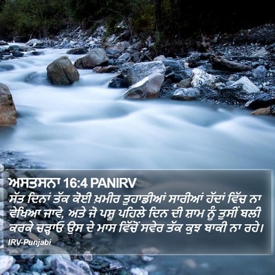 ਅਸਤਸਨਾ 16:4 PANIRV Bible Verse Image