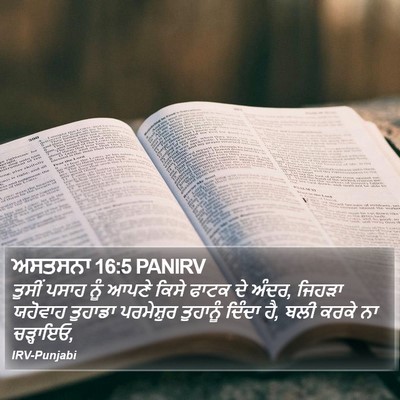 ਅਸਤਸਨਾ 16:5 PANIRV Bible Verse Image