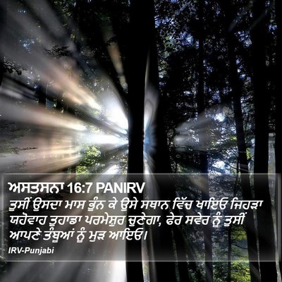 ਅਸਤਸਨਾ 16:7 PANIRV Bible Verse Image