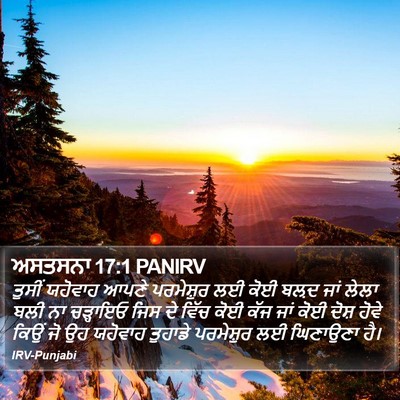 ਅਸਤਸਨਾ 17:1 PANIRV Bible Verse Image