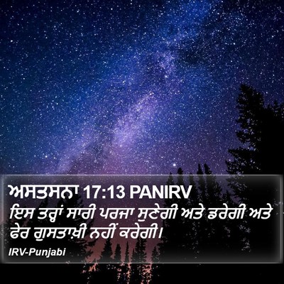 ਅਸਤਸਨਾ 17:13 PANIRV Bible Verse Image