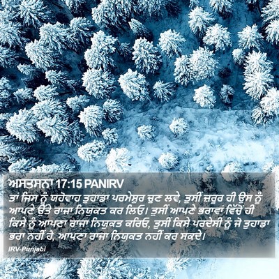 ਅਸਤਸਨਾ 17:15 PANIRV Bible Verse Image