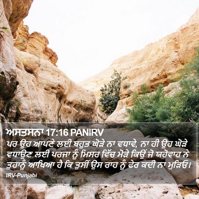 ਅਸਤਸਨਾ 17:16 PANIRV Bible Verse Image