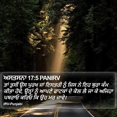 ਅਸਤਸਨਾ 17:5 PANIRV Bible Verse Image