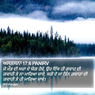 ਅਸਤਸਨਾ 17:6 PANIRV Bible Verse Image