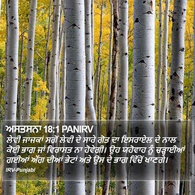 ਅਸਤਸਨਾ 18:1 PANIRV Bible Verse Image