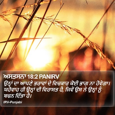 ਅਸਤਸਨਾ 18:2 PANIRV Bible Verse Image