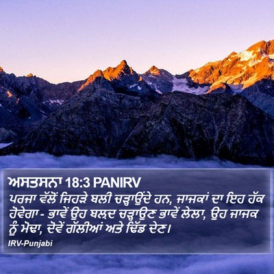 ਅਸਤਸਨਾ 18:3 PANIRV Bible Verse Image