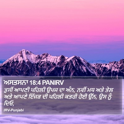 ਅਸਤਸਨਾ 18:4 PANIRV Bible Verse Image