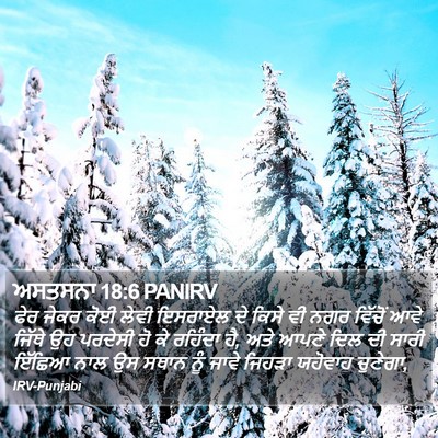 ਅਸਤਸਨਾ 18:6 PANIRV Bible Verse Image