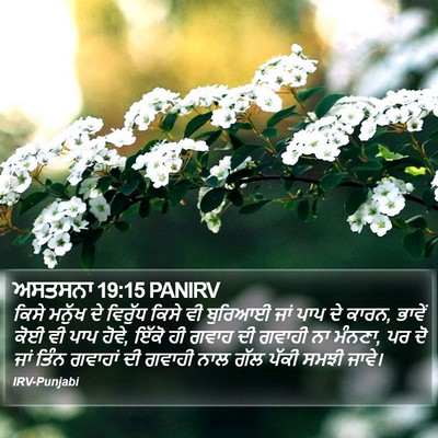 ਅਸਤਸਨਾ 19:15 PANIRV Bible Verse Image