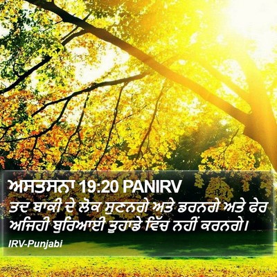 ਅਸਤਸਨਾ 19:20 PANIRV Bible Verse Image