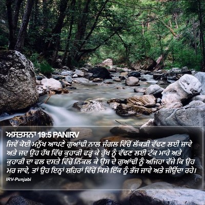 ਅਸਤਸਨਾ 19:5 PANIRV Bible Verse Image