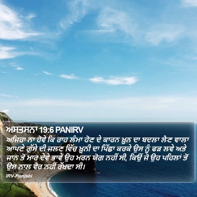 ਅਸਤਸਨਾ 19:6 PANIRV Bible Verse Image