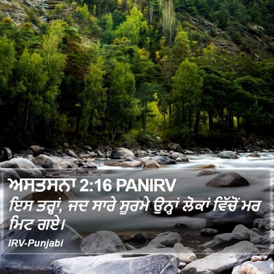 ਅਸਤਸਨਾ 2:16 PANIRV Bible Verse Image