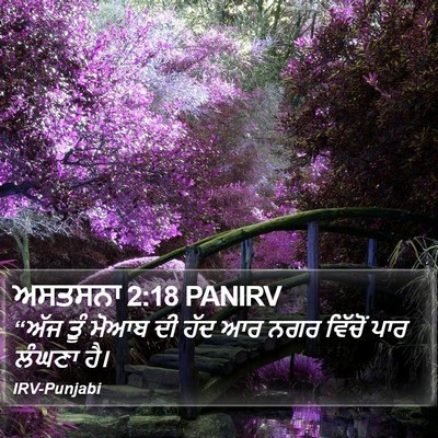 ਅਸਤਸਨਾ 2:18 PANIRV Bible Verse Image