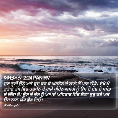 ਅਸਤਸਨਾ 2:24 PANIRV Bible Verse Image