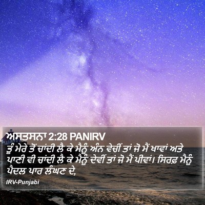 ਅਸਤਸਨਾ 2:28 PANIRV Bible Verse Image