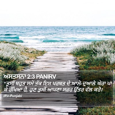 ਅਸਤਸਨਾ 2:3 PANIRV Bible Verse Image