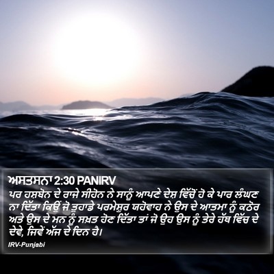 ਅਸਤਸਨਾ 2:30 PANIRV Bible Verse Image