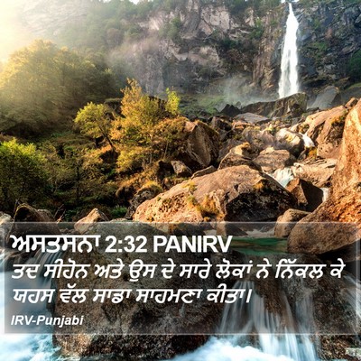 ਅਸਤਸਨਾ 2:32 PANIRV Bible Verse Image