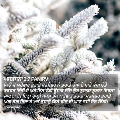 ਅਸਤਸਨਾ 2:7 PANIRV Bible Verse Image