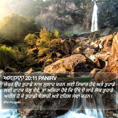 ਅਸਤਸਨਾ 20:11 PANIRV Bible Verse Image