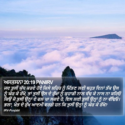 ਅਸਤਸਨਾ 20:19 PANIRV Bible Verse Image