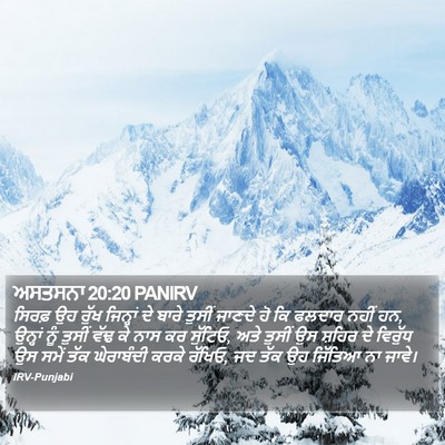 ਅਸਤਸਨਾ 20:20 PANIRV Bible Verse Image