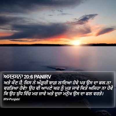 ਅਸਤਸਨਾ 20:6 PANIRV Bible Verse Image