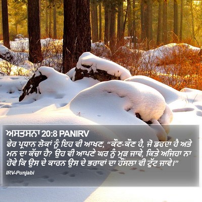 ਅਸਤਸਨਾ 20:8 PANIRV Bible Verse Image